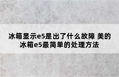 冰箱显示e5是出了什么故障 美的冰箱e5最简单的处理方法